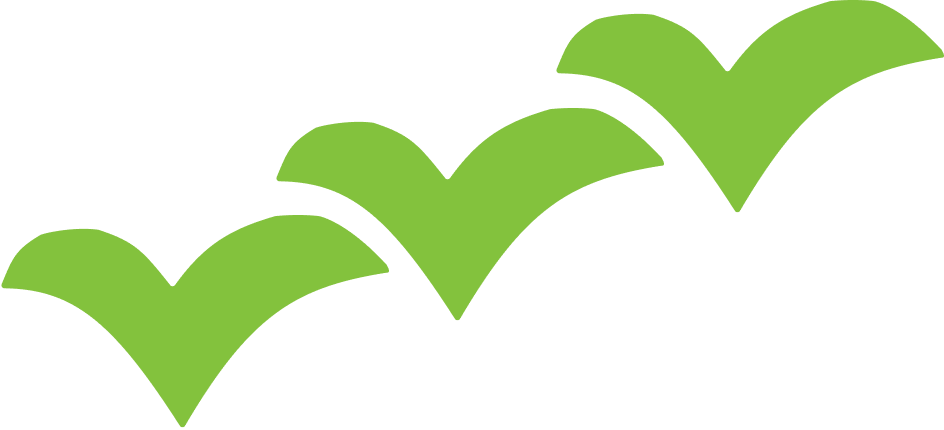 vector
